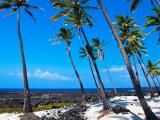 Big Island Grand Circle Island Tour